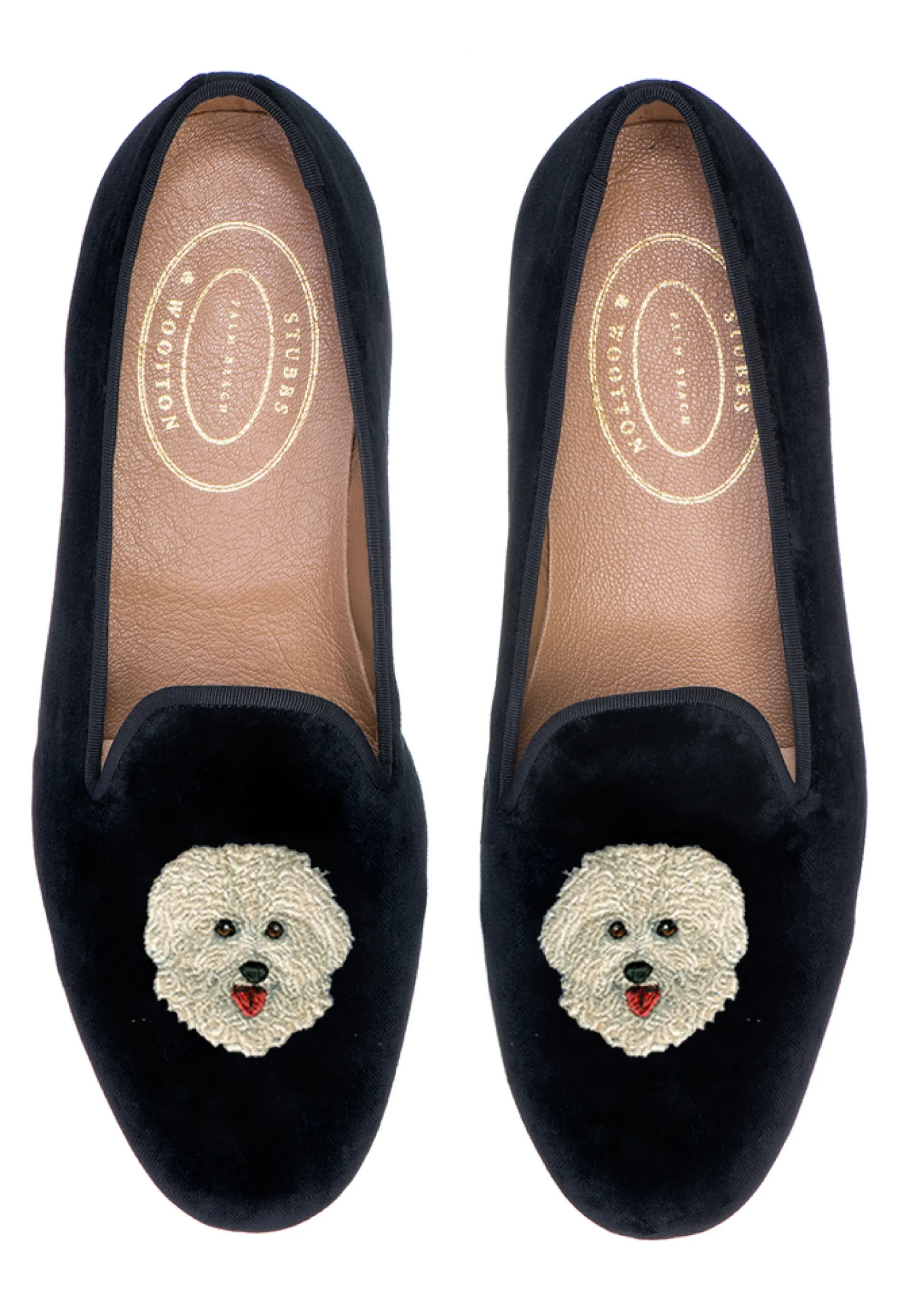 Bichon Frise (Men)