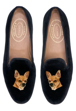 Chihuahua (Women)