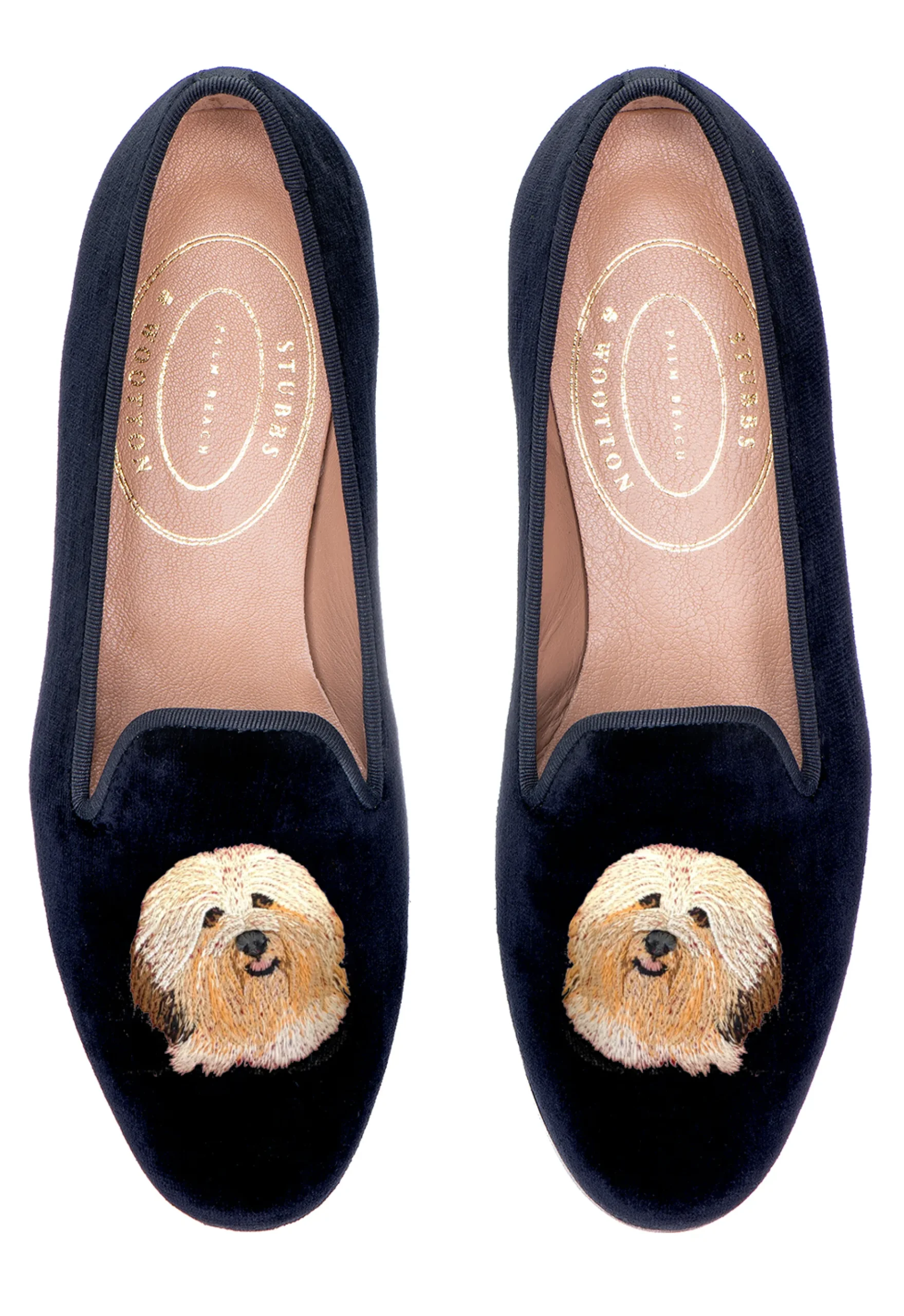 Havanese (Women)