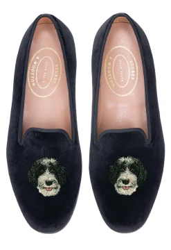Portuguese Water Dog (Men)