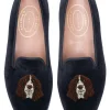 Springer Spaniel Brown (Women)