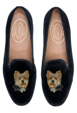 Yorkshire Terrier (Men)